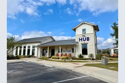 249 La Dera Drive, Liberty Hill, TX 78642 - Photo 31