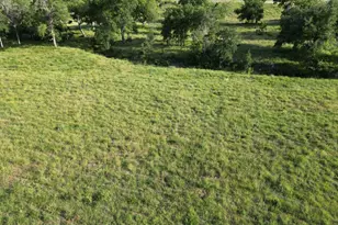 Lot 28 Serenity Dr, Bertram, TX 78605 - Photo 9