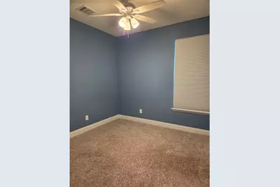 313 Los Cobos Lane, Georgetown, TX 78626 - Photo 19