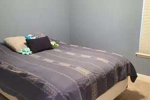 313 Los Cobos Ln, Georgetown, TX 78626 - Photo 11