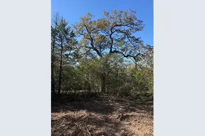 Tbd Leisure Lane, Cedar Creek, TX 78612 - Photo 5