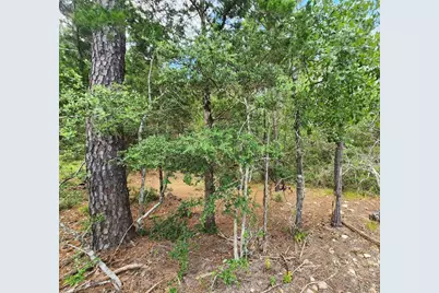 170 Molokini Drive, Bastrop, TX 78602 - Photo 5