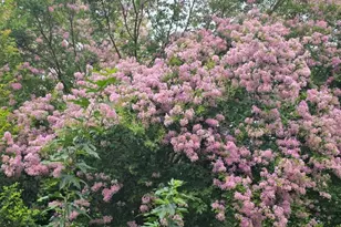 8227 Liberty Walk Dr, Round Rock, TX 78681 - Photo 39