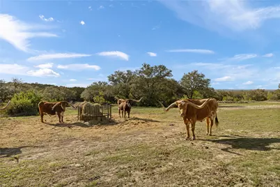 892 Baird Ranch Road, Johnson City, TX 78636 - Photo 9