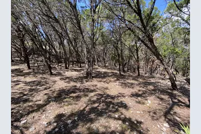 19201 W Reed Parks Road, Jonestown, TX 78645 - Photo 9