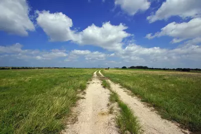 2002 County Road 276, Bertram, TX 78605 - Photo 9