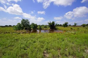 2002 Co Rd 276, Bertram, TX 78605 - Photo 5