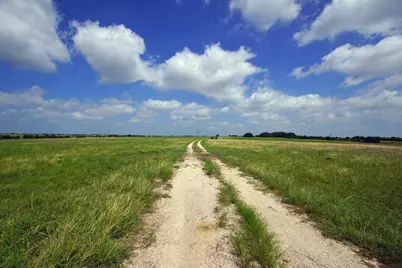 2002 County Road 276, Bertram, TX 78605 - Photo 9