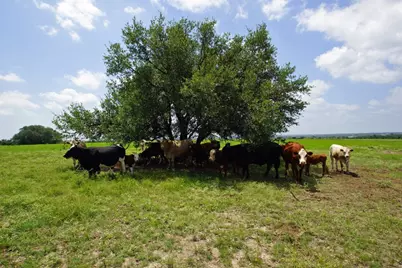 2002 County Road 276, Bertram, TX 78605 - Photo 19
