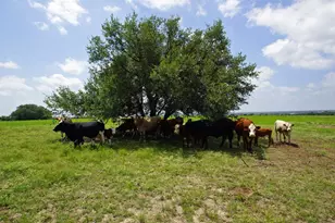 2002 Co Rd 276, Bertram, TX 78605 - Photo 19