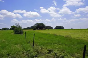 2002 Co Rd 276, Bertram, TX 78605 - Photo 13