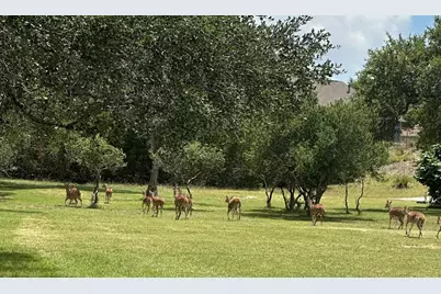 0 Lantana Gold, Spring Branch, TX 78070 - Photo 15