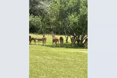 0 Lantana Gold, Spring Branch, TX 78070 - Photo 13