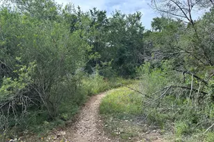 4620 W William Cannon Dr, Austin, TX 78749 - Photo 35