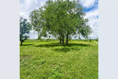 14520 Bois D Arc Lane, Manor, TX 78653 - Photo 13