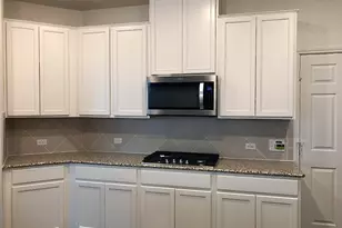 213 Asher Blue Dr, Hutto, TX 78634 - Photo 9
