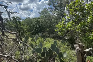 3633 Outback Trail, Spicewood, TX 78669 - Photo 13