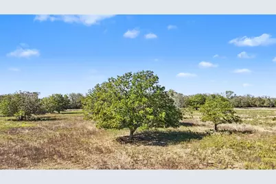 Tract 4 Fm 3158, Dale, TX 78616 - Photo 11