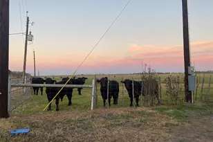 162 Friedens Church Rd, Seguin, TX 78155 - Photo 33