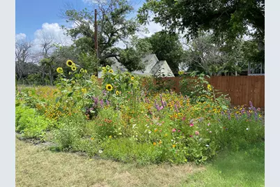 162 Friedens Church Road, Seguin, TX 78155 - Photo 29