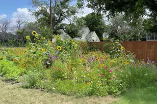 162 Friedens Church Rd, Seguin, TX 78155 - Photo 29