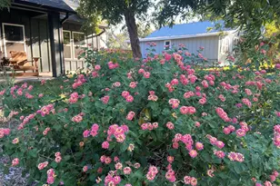 162 Friedens Church Rd, Seguin, TX 78155 - Photo 31