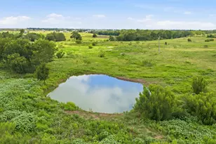 1701 Co Rd 466, Elgin, TX 78621 - Photo 13