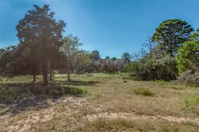 157 Cricket Hollow Lane, Smithville, TX 78957 - Photo 37