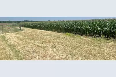 1117 County Road 423, Taylor, TX 76574 - Photo 7