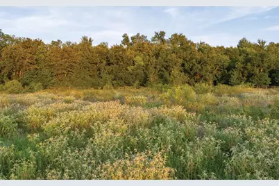 498 N County Line Road, Elgin, TX 78621 - Photo 19