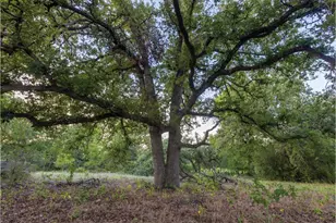 498 N County Line Rd, Elgin, TX 78621 - Photo 17