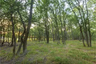 498 N County Line Rd, Elgin, TX 78621 - Photo 13