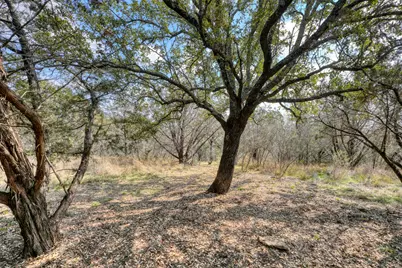 103 Palmie Lane, Marble Falls, TX 78654 - Photo 9