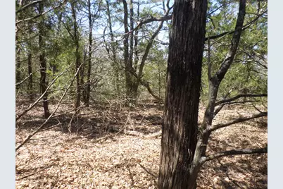 273 Unit H Walter Hoffman Road, Cedar Creek, TX 78612 - Photo 5