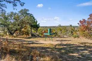 3550 Bell Springs Dr, Dripping Springs, TX 78620 - Photo 7