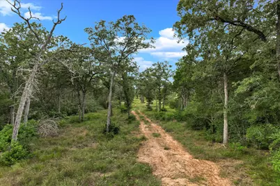 Tbd Tracts 12-13 High Crossing Road, Smithville, TX 78957 - Photo 5