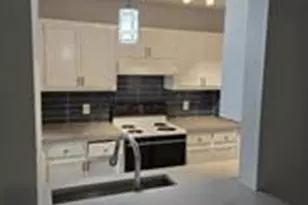213 Axis Deer Trail, Hutto, TX 78634 - Photo 3