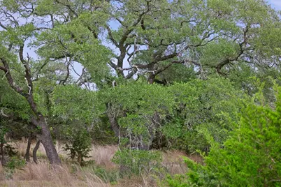 292 N Scenic Hills Court, Blanco, TX 78606 - Photo 9