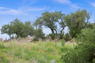 292 N Scenic Hills Ct, Blanco, TX 78606 - Photo 1