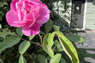 [Address not provided], Austin, TX 78745 - Photo 25