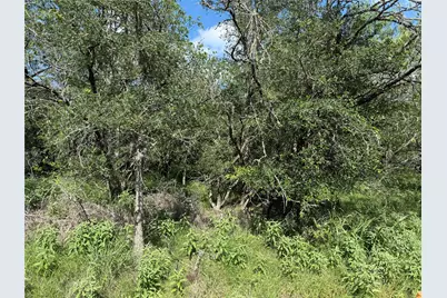 236 Mokulua Lane, Bastrop, TX 78602 - Photo 3
