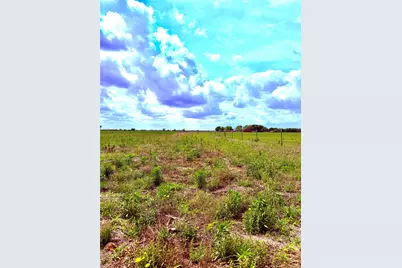 4421 Polak Rd Road, Orchard, TX 77485 - Photo 1