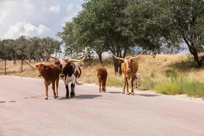 3958 Bandera Highway, Kerrville, TX 78028 - Photo 5