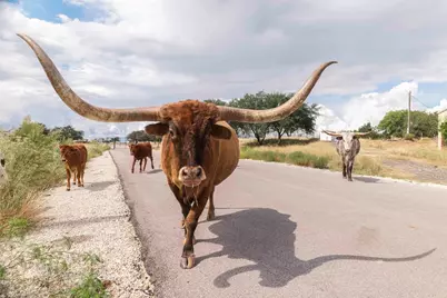 3958 Bandera Highway, Kerrville, TX 78028 - Photo 1