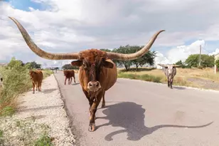 3958 Bandera Hwy, Kerrville, TX 78028 - Photo 1