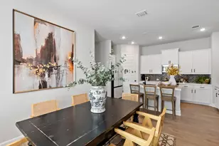 163 Cotton Tree Ter, Dripping Springs, TX 78620 - Photo 9