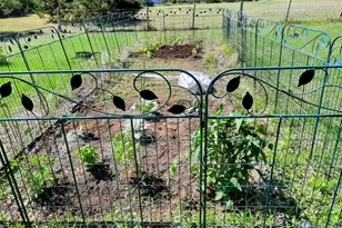 1250 Co Rd 200, Liberty Hill, TX 78642 - Photo 39