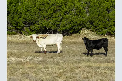 853 County Road 4390, Kempner, TX 76539 - Photo 31