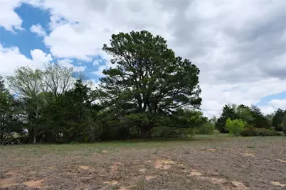 446 Herron Trail, McDade, TX 78650 - Photo 29