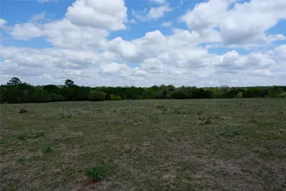 446 Herron Trail, McDade, TX 78650 - Photo 5